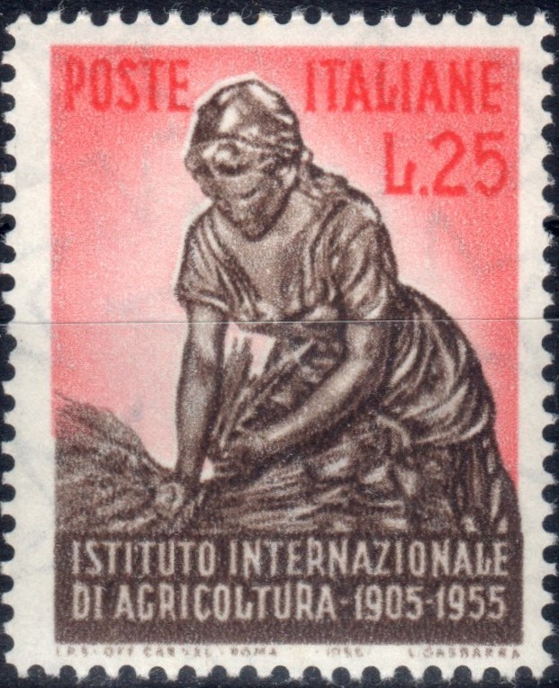 1955 Agricoltura