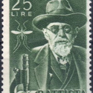 1955 Grassi