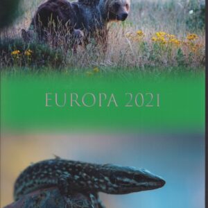 2021 Europa