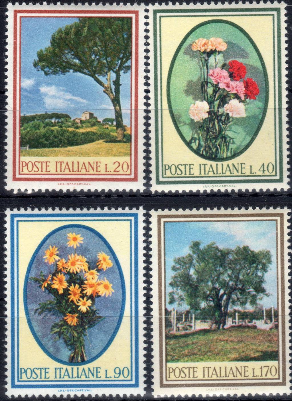 1966 Flora