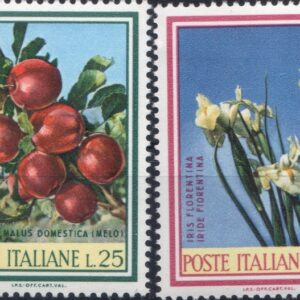 1967 Flora