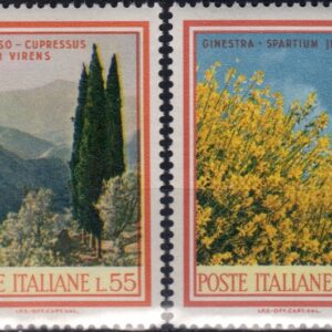 1968 Flora