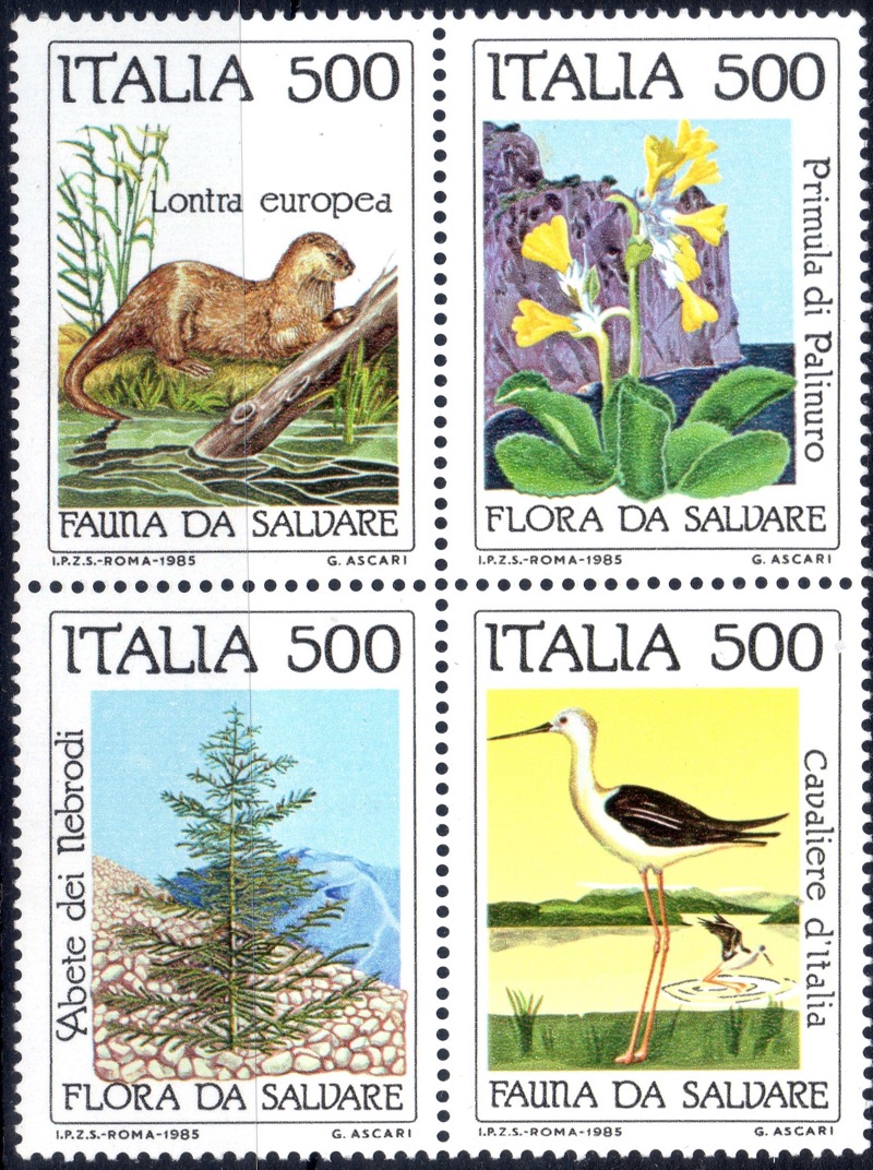 1985 Natura Blocco