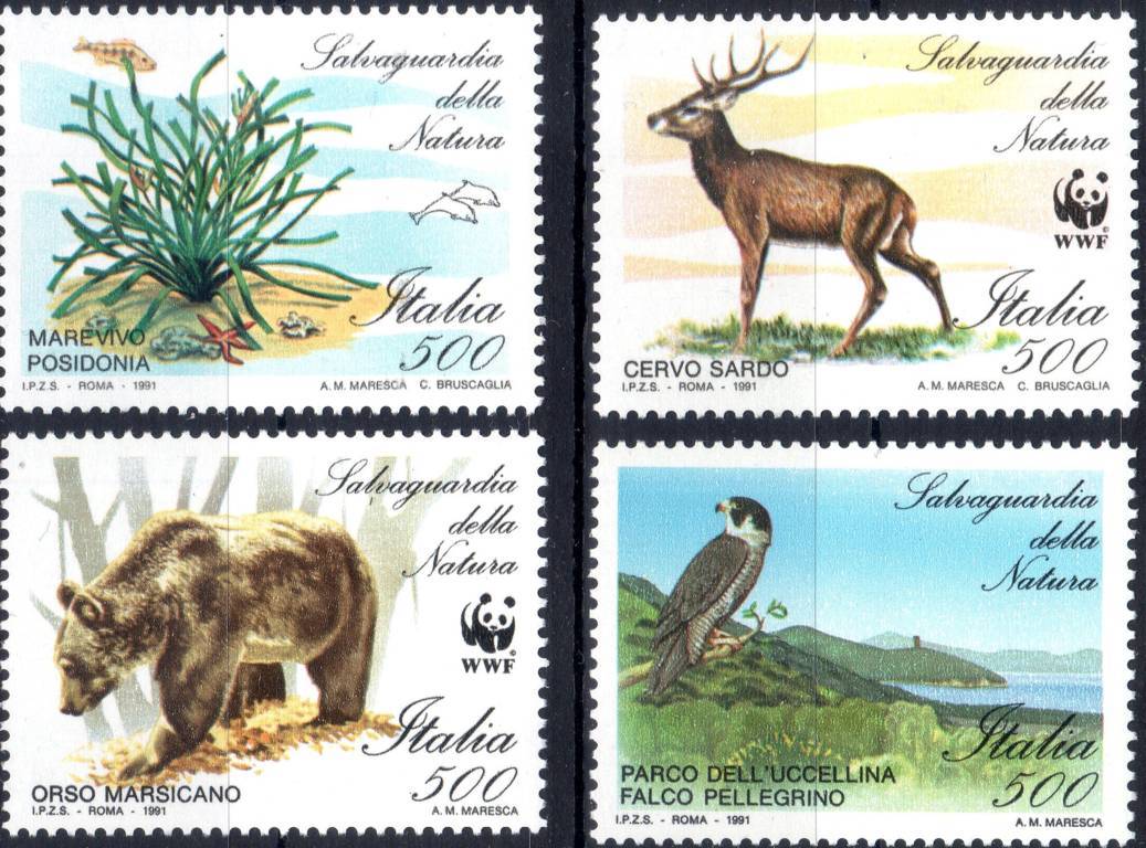 1991 Natura