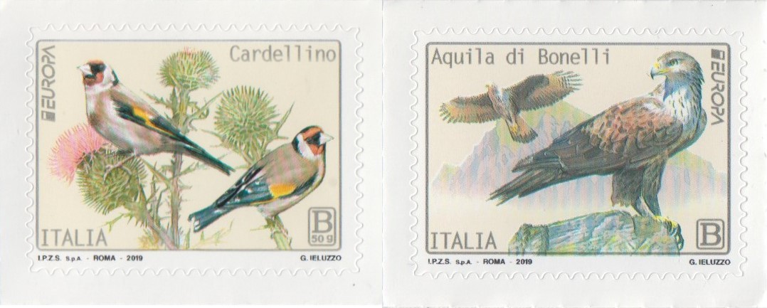 2019 Europa uccelli