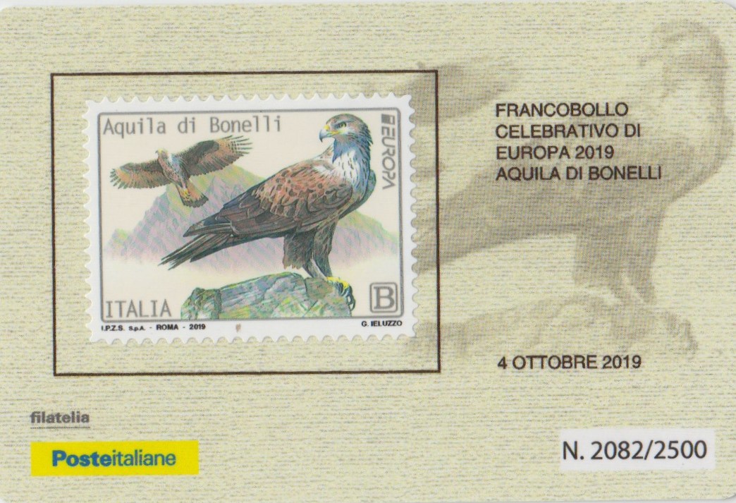 2019 Europa - Aquila di Bonelli