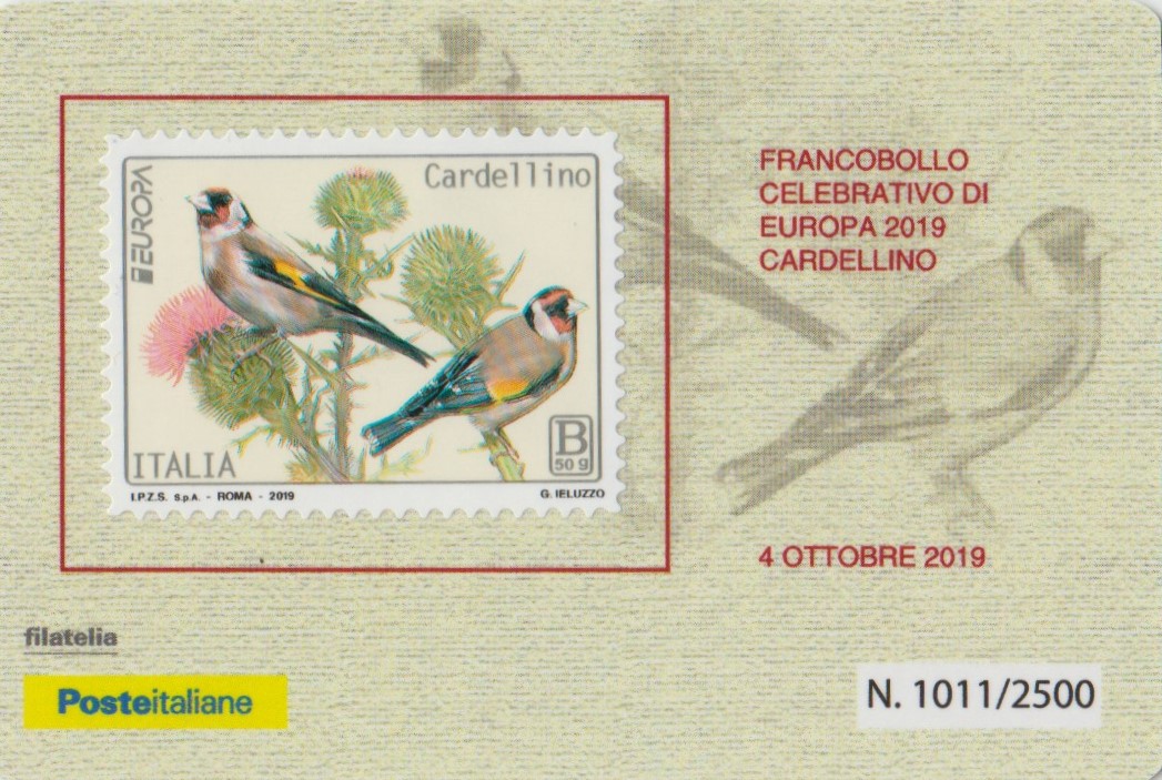 2019 Europa - Cardellino
