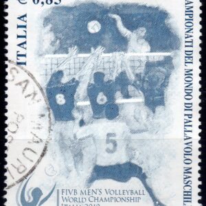 2010 Pallavolo maschile