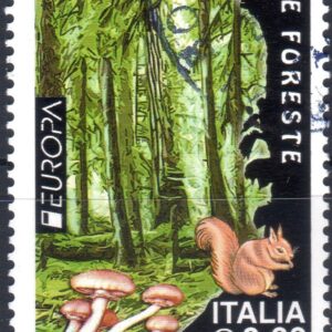 2011 Europa - Le Foreste funghi e scoiattolo