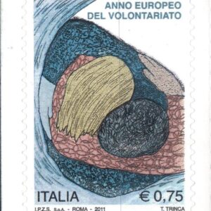2011 Anno Europeo del Volontariato