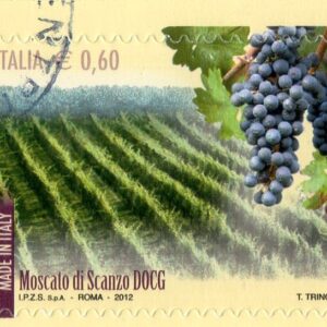 2012 I vini D.O.C.G. Moscato