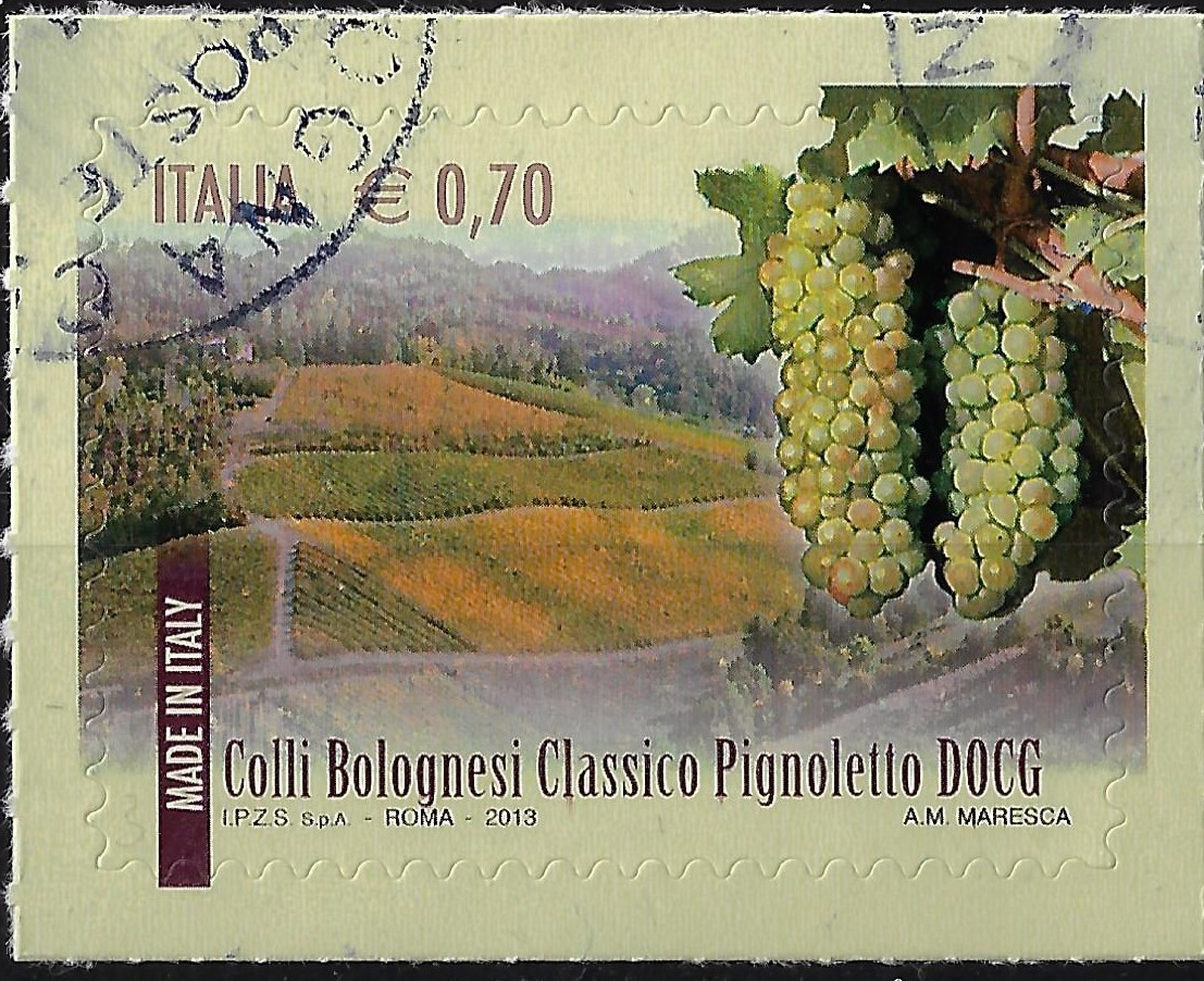 2013 I vini D.O.C.G. Pignoletto