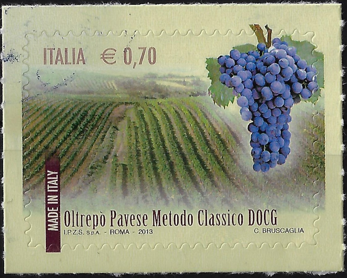 2013 I vini D.O.C.G. Oltrepò pavese