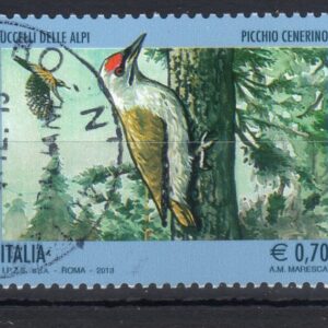 2013 Uccelli delle Alpi Picchio cenerino