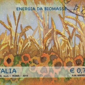 2014 Energie Rinnovabili da Biomasse