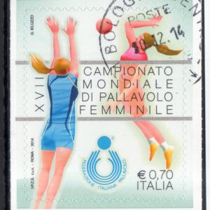 2014 Pallavolo Femminile