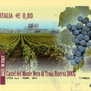 2014 I vini D.O.C.G. Castel del Monte nero