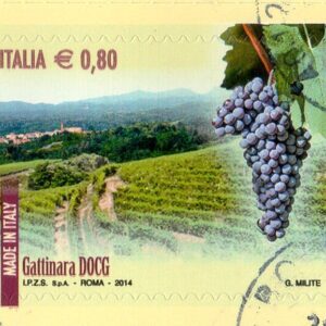 2014 I vini D.O.C.G. Gattinara