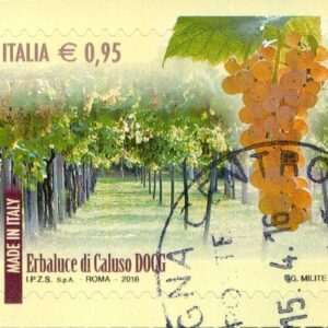 2016 I Vini d'Italia DOCG Erbaluce di Caluso