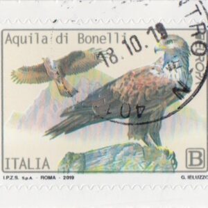 2019 Europa - Aquila di Bonelli