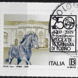 2019 Scuola veterianaria di Torino