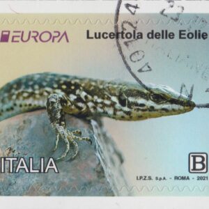 2021 Europa - Lucertola delle Eolie