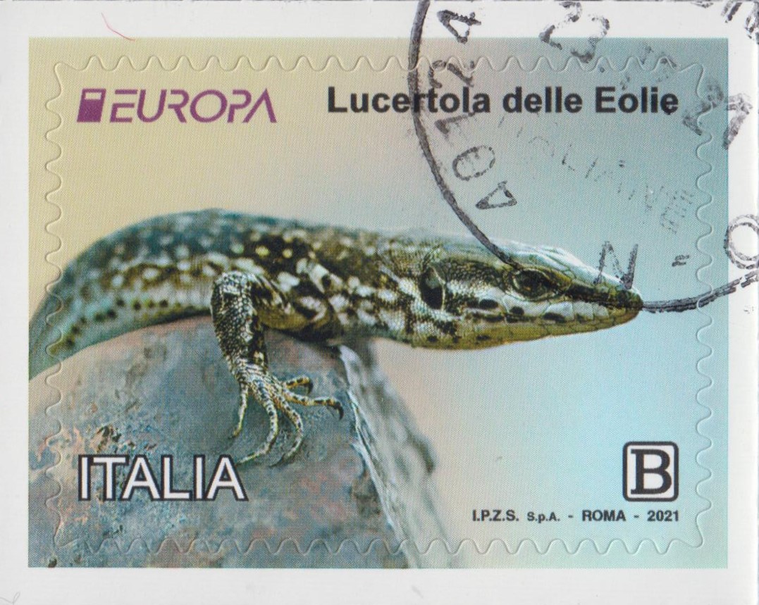 2021 Europa - Lucertola delle Eolie