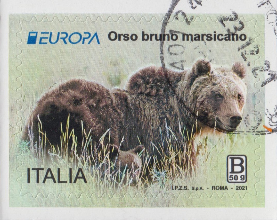 2021 Europa - Orso Bruno Marsicano