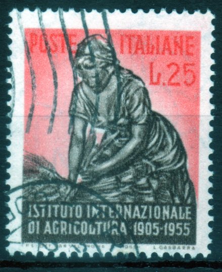 1955 Agricoltura