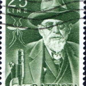 1955 Grassi