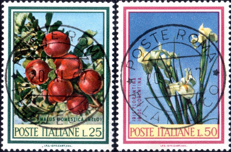 1967 Flora