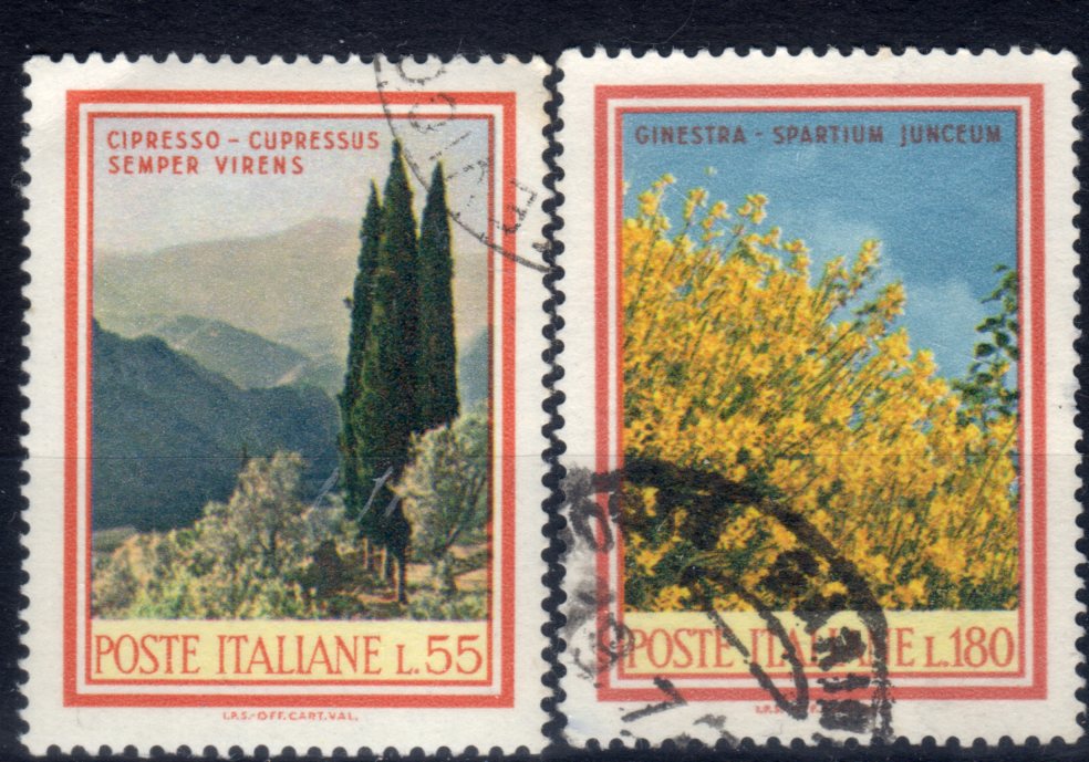 1968 Flora