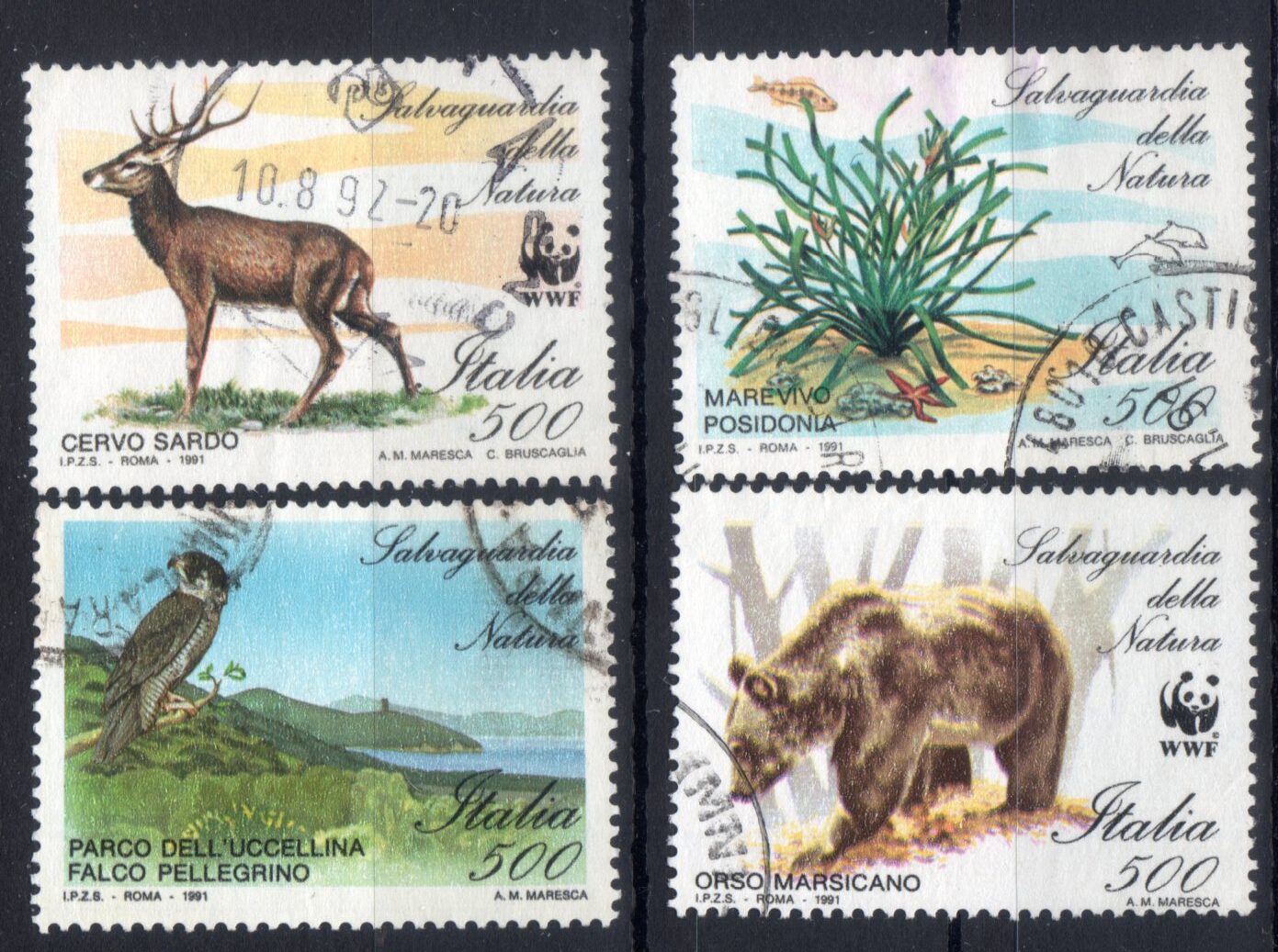 1991 Natura
