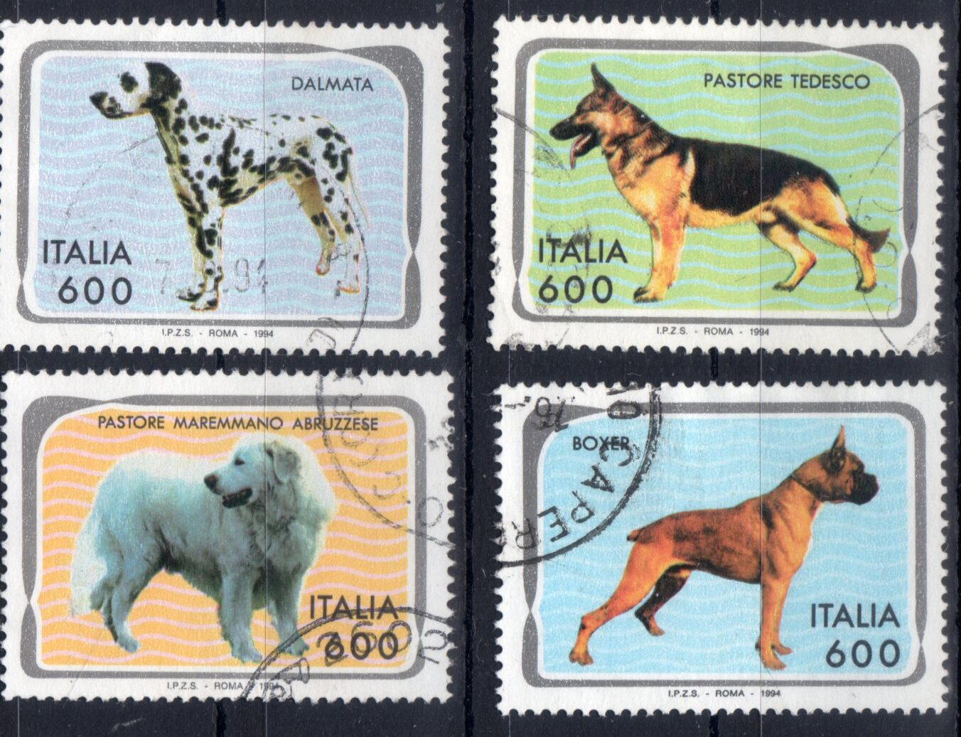 1994 Cani