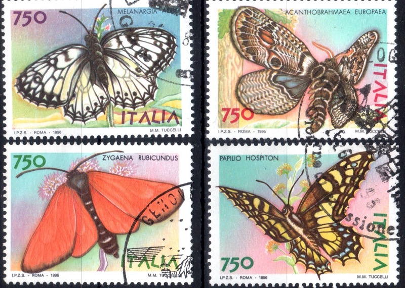 1996 Farfalle