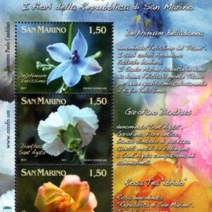 2011 Fiori