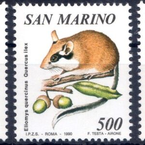1990 Flora e fauna di