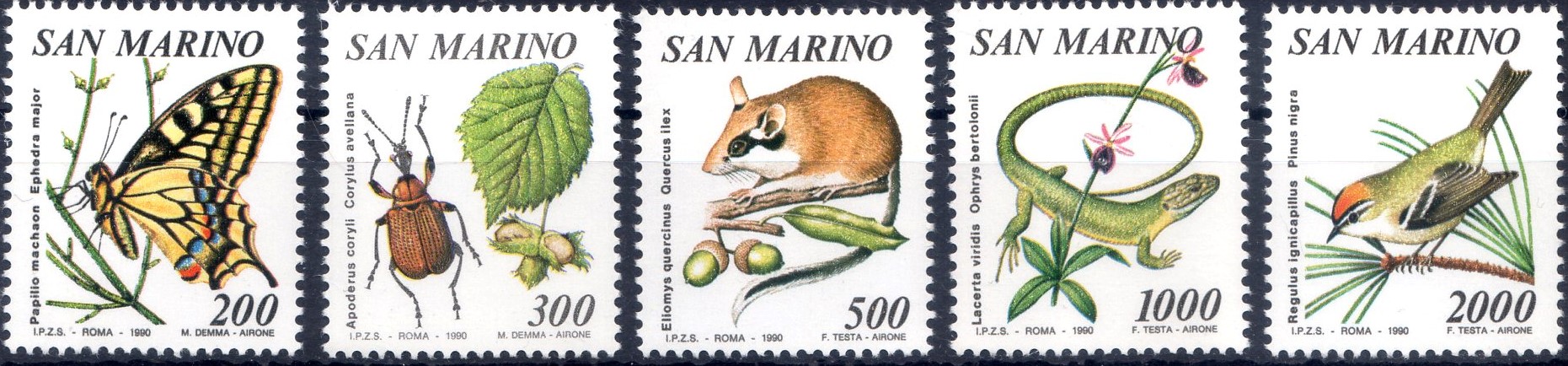 1990 Flora e fauna di