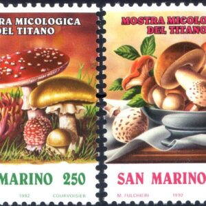 1992 Mostra micologica