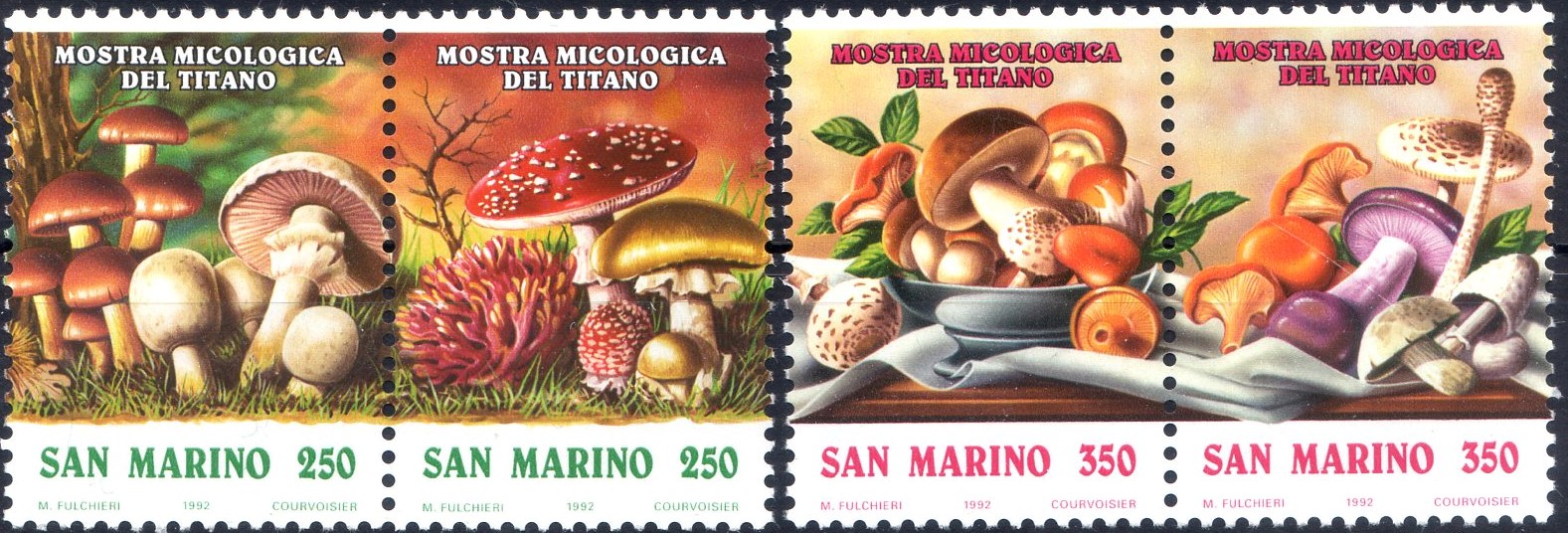 1992 Mostra micologica