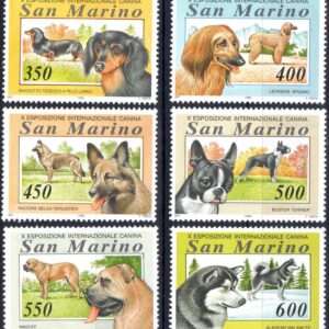 1994 10° Esposizione canina
