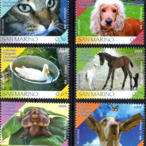 2009 Fotografa il tuo animale domestico