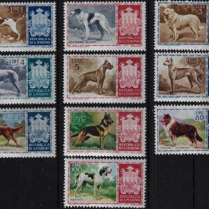 1956 Cani di razza