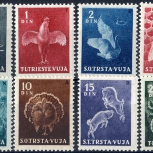 1950 Animali