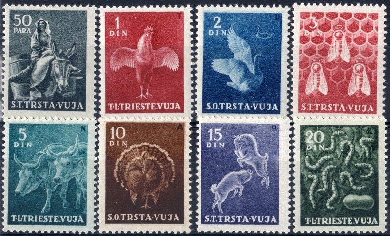 1950 Animali