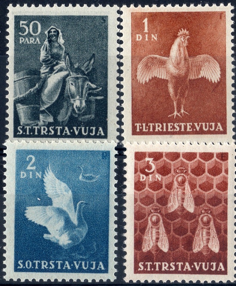 1951 Animali nuovi colori