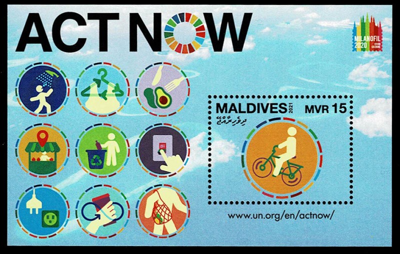 2021 Maldive Act Now Foglietto Congiunta