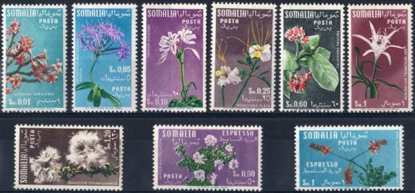 1955 Fiori filigrana ruota - immagine 2