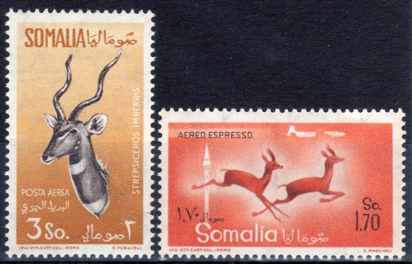 1958 Animali (Fil. Stelle I°) - immagine 2