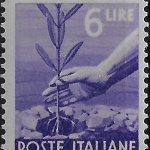 1945 6 £. Democratica